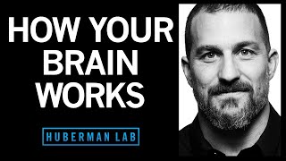 How Your Nervous System Works & Changes