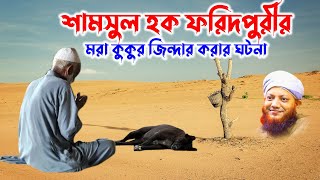 শামছুল হক ফরিদপুরীর মরা কুকুরের ঘটনা  | kamrul islam arifi | kamrul islam arefi | কামরুল ইসলাম আরেফি