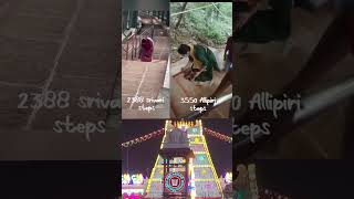 Tirumala #Alipiri \u0026Srivari mettu#Metla Pooja#Shorts#