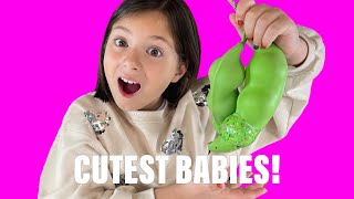 Unboxing Pea Pod Babies Mystery Surprise Toy with Mini Baby