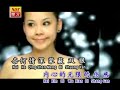 林淑娟crystal lin 旧情难忘金曲 ii【无情的谎言】