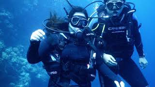 Wakatobi - Keindahan Bawah Laut Wakatobi