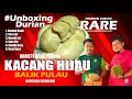 Durian Kacang Hijau ~ Varieti Rare Balik Pulau #unboxingdurian #durian88 #durianbalikpulau