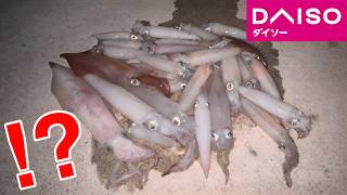 ダイソーエギでイカ釣りしたら爆釣すぎた