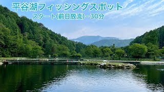 【管釣り】平谷湖フィッシングスポットの日曜日【エリアトラウト】(前日放流からの30分間)