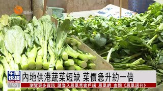 香港疫情｜跨境司機确診影響供應：内地供港蔬菜短缺 菜價急升約一倍【香港V】