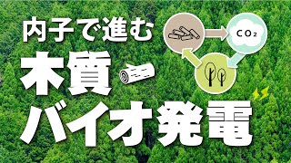 解説：内子で進む木質バイオ発電・愛媛新聞