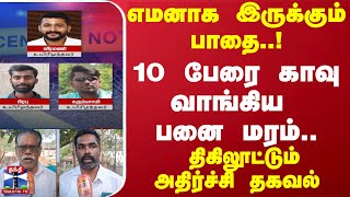 எமனாக இருக்கும் பாதை..! 10 பேரை காவு வாங்கிய பனை மரம்..  திகிலூட்டும் அதிர்ச்சி தகவல் | Kovai