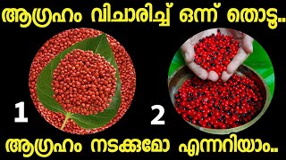 മനസ്സ് പറയുന്ന ഒരു ചിത്രം തൊടൂ..നിങ്ങൾക്ക് വരാൻ പോകുന്ന ഭാഗ്യങ്ങൾ അറിയാം.