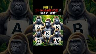 なぜ？ゴリラの血液型は◯型だけ！その謎を解き明かす驚きの進化論！#shorts  #animals #生態解説 #雑学 #生物 #生き物 #自然 #動物