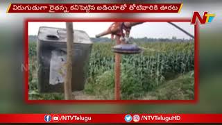 Farmer New Idea To Protect Crop From Wild Pigs- Sound Machine | Sangareddy | NTV