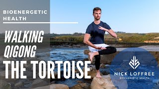 TORTOISE - Bioenergy Walking Meditation: Water Element Qigong for Longevity, Balance & Adrenals