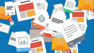 FileDirector DS GVO