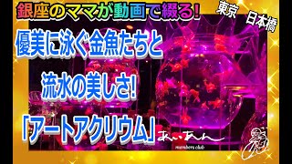 【３万匹超の金魚が光で彩られた水中を舞い泳ぐ!  命の宿る美術館!】「アートアクアリウム」銀座のママが動画で綴る旅行記!