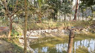 যেভাবে সাজাবেন আপনার  ছোট বাগান বাড়ি | Bangladeshi Farm House At Lakshmipur Komolnogor upazila