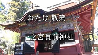 一之宮貫前神社　いちのみやぬきさきじんじゃの杜の美散策