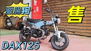 DAX125 買車找老木 臘腸狗