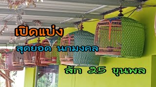 เปิดแบ่ง แนะนำสุดยอดนกมงคล สัก 25 ขุนพล 098-3607872-ต้าร์