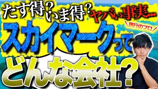 【知らないとヤバい!?】たす得？いま得？スカイマークに乗る前に見たいメリット/デメリットを元旅行会社員のチヒロが徹底解説!!【SKYMARK/ピカチュウジェット】✈️🌟