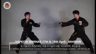 2024 두바이 무무관 합기도 세마나 홍보 동영상 Dubai MooMooKwan Hapkido Seminar May 3 \u00264