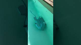 🤖 The Ingenious Pool Cleaning Robot: Revolutionizing Pool Maintenance 🇳🇱