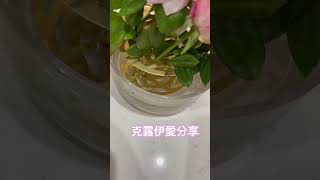 克露伊愛分享：花園裡的🌹玫瑰月季 統一修剪後再利用插瓶插花。