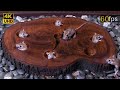 Cat TV: Tiny Mouse Popping Up and Hide & Seek Fun through Wood Stem Holes for cats to watch 4k