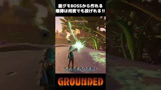 何度でも投げれる爆弾⁉【Grounded】