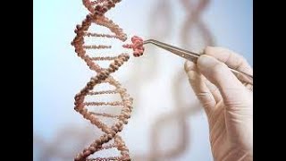 دستکاری ژنتیک - مهندسی ژنتیکی-کریسبر-کس9-DNA-RNA  - آینده سلامتی و نژاد بشر