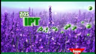 Baygon Spray lavender