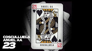 Cosculluela, Anuel AA - 23