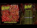 morgue tar diegested full album 2024 goregrind d beat