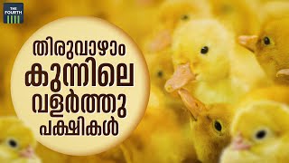 തിരുവാഴാം കുന്നിലെ വളര്‍ത്തു പക്ഷികള്‍ | Avian Research Station | Quail Farming