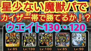 DQMSL ＧＰ 魔獣新生転生 星少ない  魔獣パの経験値少ないプレイヤーでも戦えるか！？