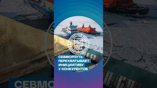 Севморпуть перехватывает инициативу у конкурентов. За 5 лет грузопоток по СМП вырос в 2,5 раза