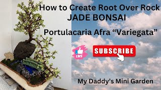 EP#253 How to Create Root Over Rock ~Jade Bonsai / Portulacaria Afra “Variegata” #viralvideo #views