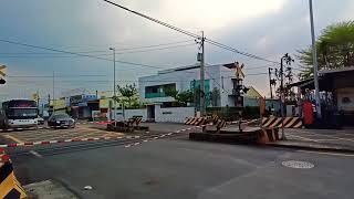 [集集線]集集鎮集鹿路平交道(特殊警報音)//集集驛前踏切//Railroad crossing in Taiwan