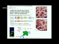 Goodnow C (2015): Analysis of germline & somatic mutations in immunodeficiency & lymphoid malignancy