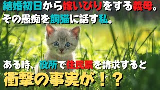 【スカッとする話】結婚初日から嫁いびりをしてくる義母。その愚痴を飼猫に話す私。ある時、役所で住民票を請求すると衝撃の事実が！？【猫の不思議な話・朗読】