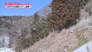 【ながのニュース】3月11日放送「小田切地区で山菜取りツアー開催へ　参加者募集」