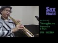 Yanagisawa S-WO1 試奏動画