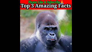 top 3 amazing facts|Facts in hindi| #shorts #viral #youtubeshorts @MRINDIANHACKER