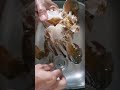 螃蟹怎么洗才干净 how to clean crab before cooking shorts