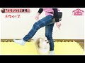 【ポメラニアン】超絶可愛い♡13連発！ポメラニアンこぐまくんの特技です