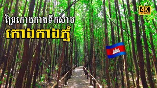 Ep.84 ទឹកជប់ខ្នារពោធិ៍ - សហគមន៍ព្រៃឈើ និងអេកូទេសចរណ៍