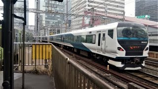 【有楽町駅】特急 踊り子8号（JR東日本E257系電車）東京駅行の通過（東京都）Limited Express ODORIKO Yurakucho Station Tokyo JAPAN TRAIN