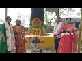 118 years neem tree history khammam district yellandhu satyaki tv