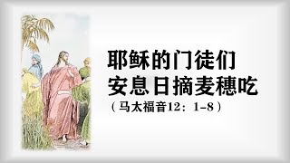 马太福音12：1-8 | 法利赛人守安息日的标准