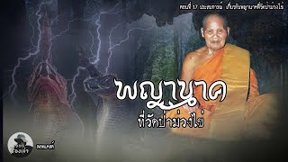 พญานาคที่วัดป่าม่วงไข่ ตอนที่ 17 | หลวงปู่ชอบ ฐานะสโม