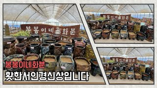 7월6일♡봉봉이네화분♡수제공방분♡서인경화분 신상~5만이상택배무료